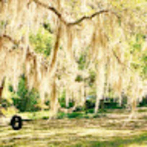 Meet your Posher, Arianna